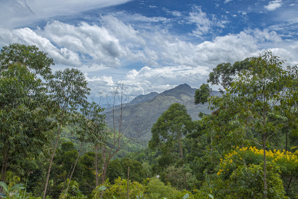 Chill Ville View Point Hotel Ella Sri Lanka Gallery Chill Ville View Point Hotel Ella Sri Lanka Gallery