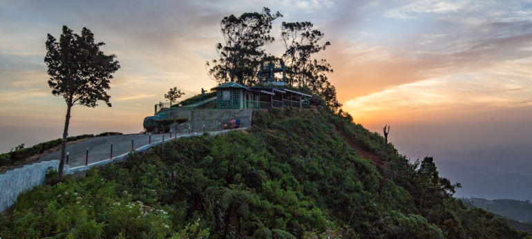 Views of the Tea Fields forever at Lipton's Seat